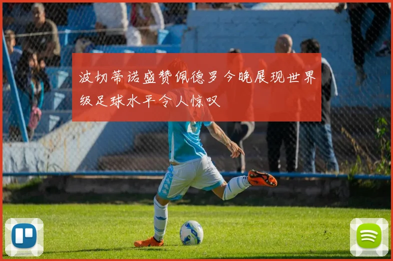 波切蒂诺盛赞佩德罗今晚展现世界级足球水平令人惊叹