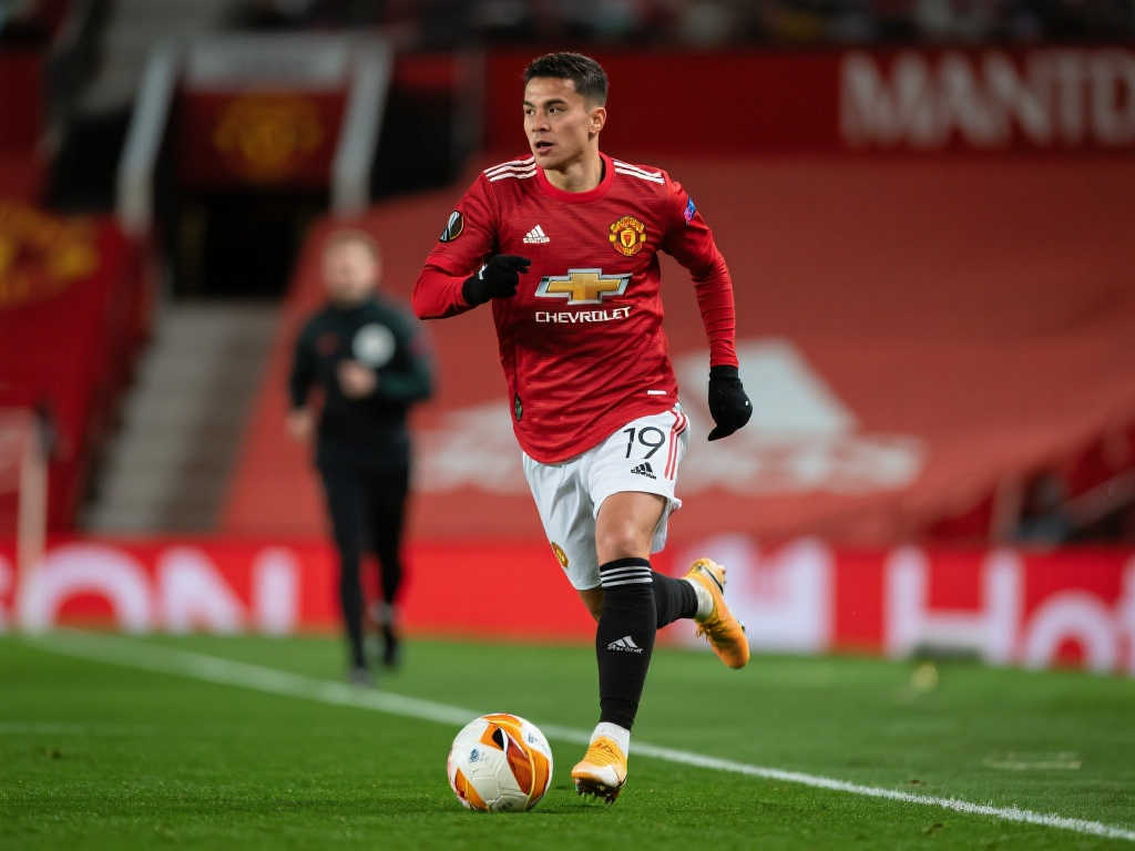 部具备完备 部具备完备